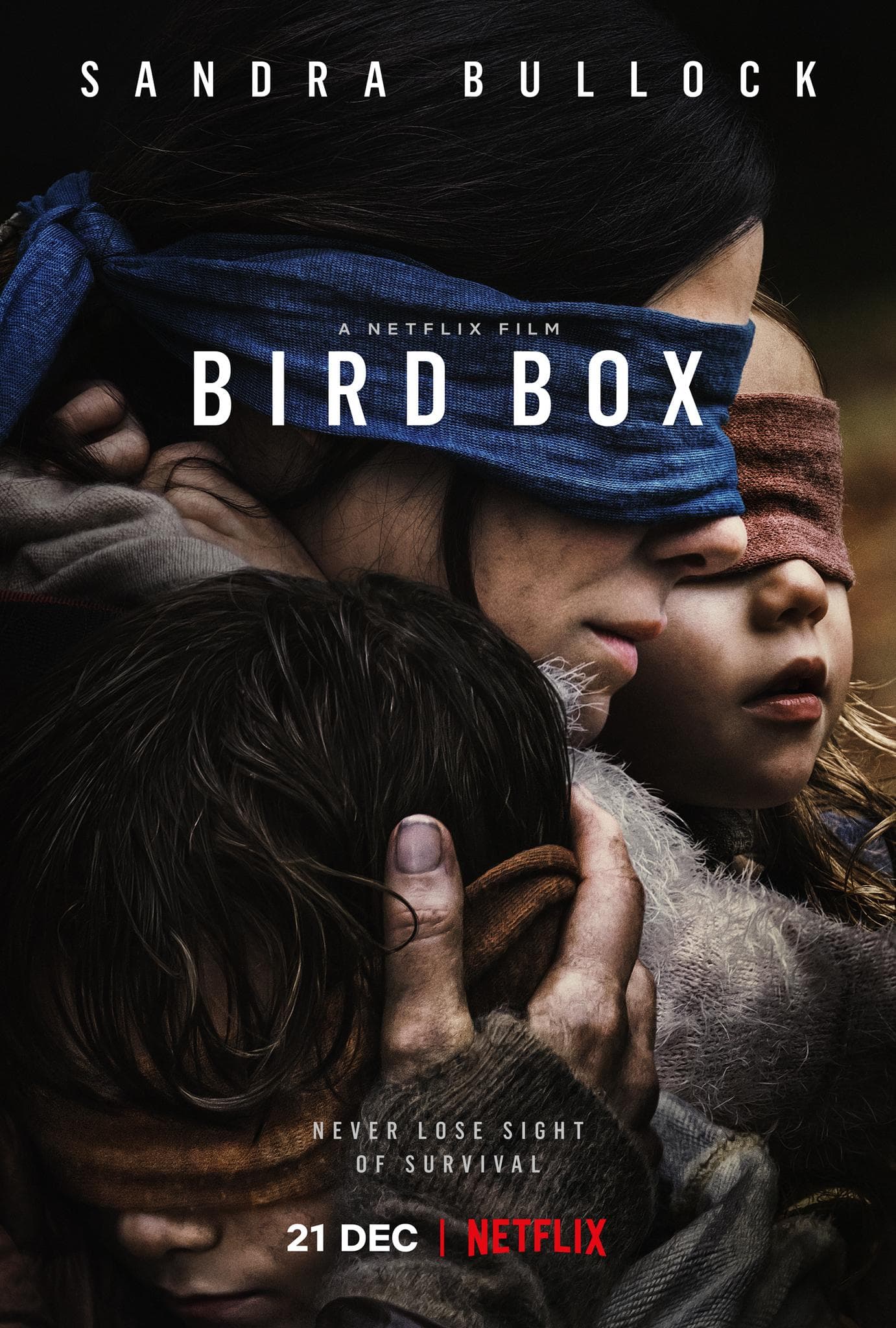 Bird Box-1080P