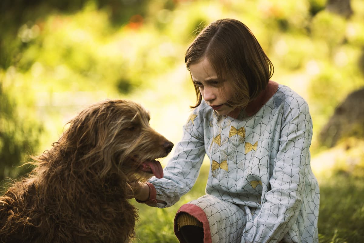 vibrant garden and a vibrant but sad story