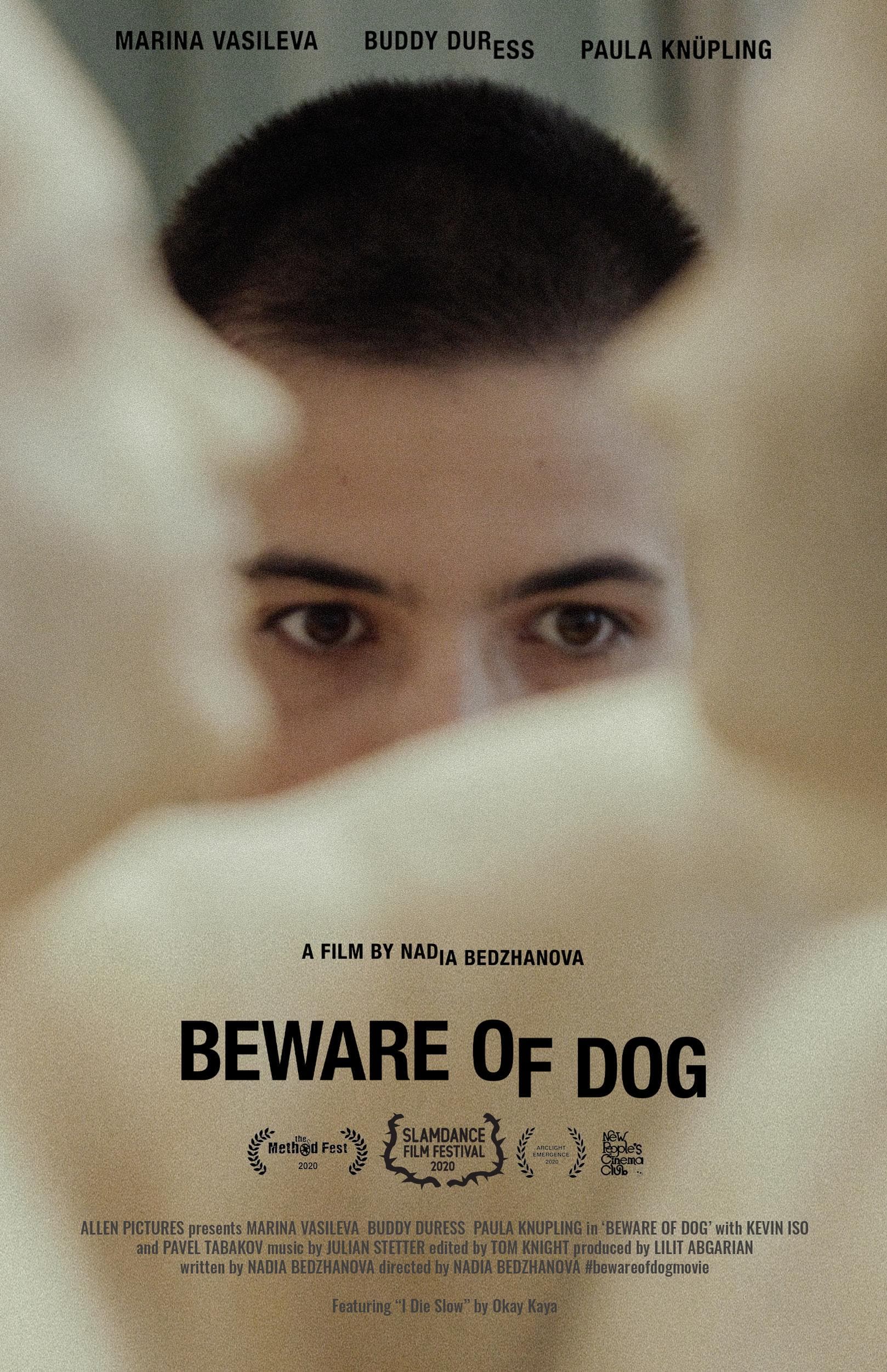 Beware of Dog_720p(480P)