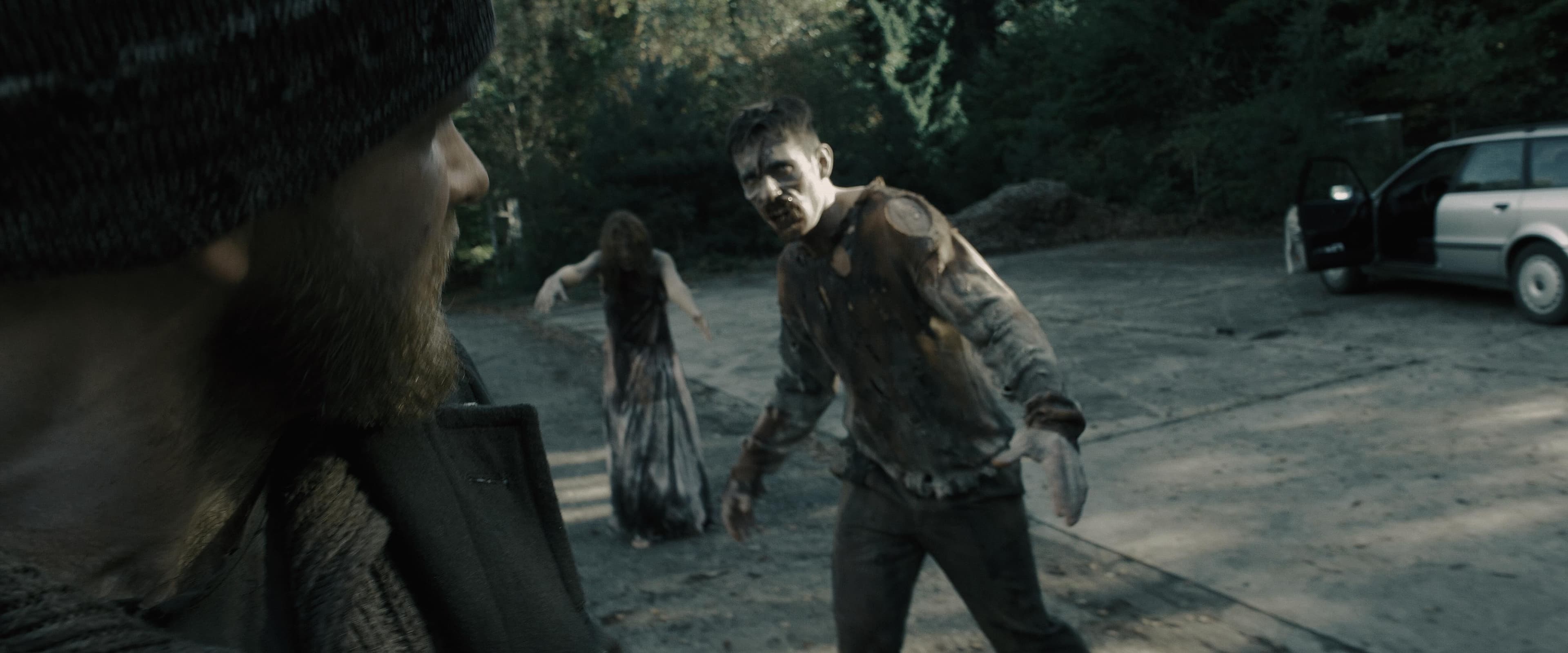 Best Indie Zombie film since the 1968 Night of the Living Dead.