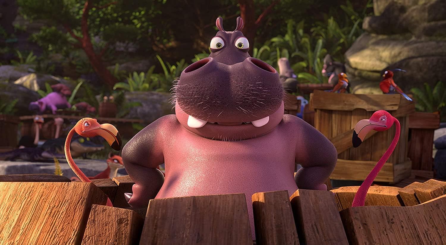 Solid animation movie