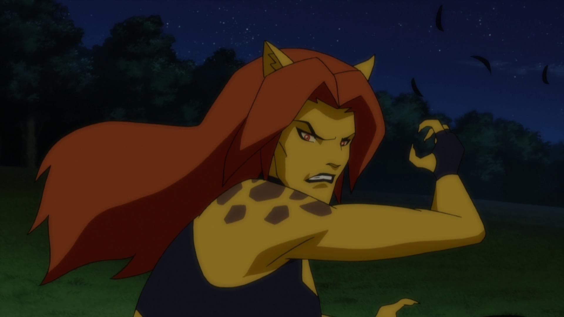 One Of The Best DC Animation Films