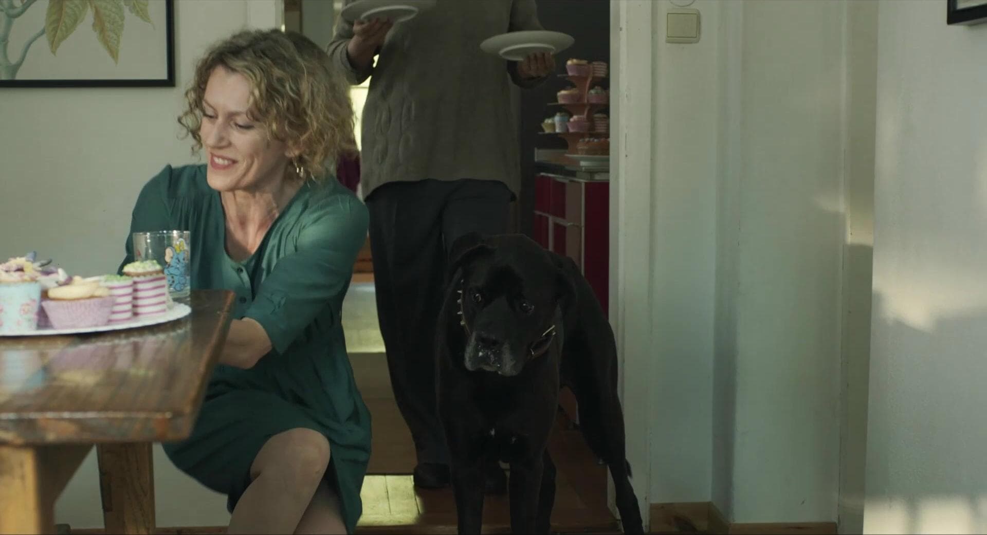 Searching for answers is a much better title