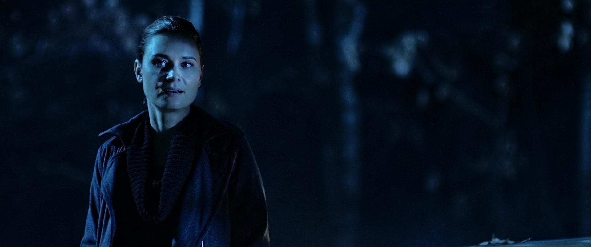 Just Stupid Enough to be Kinda Fun