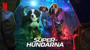 Super PupZ-S1E9-360P