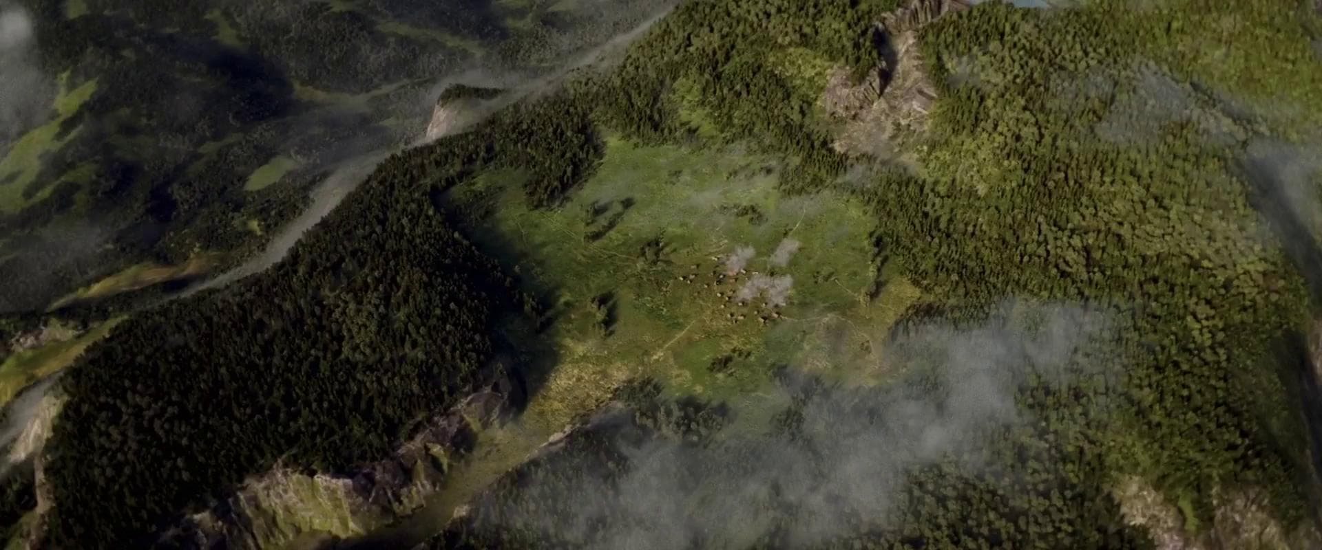 Something is wrong here