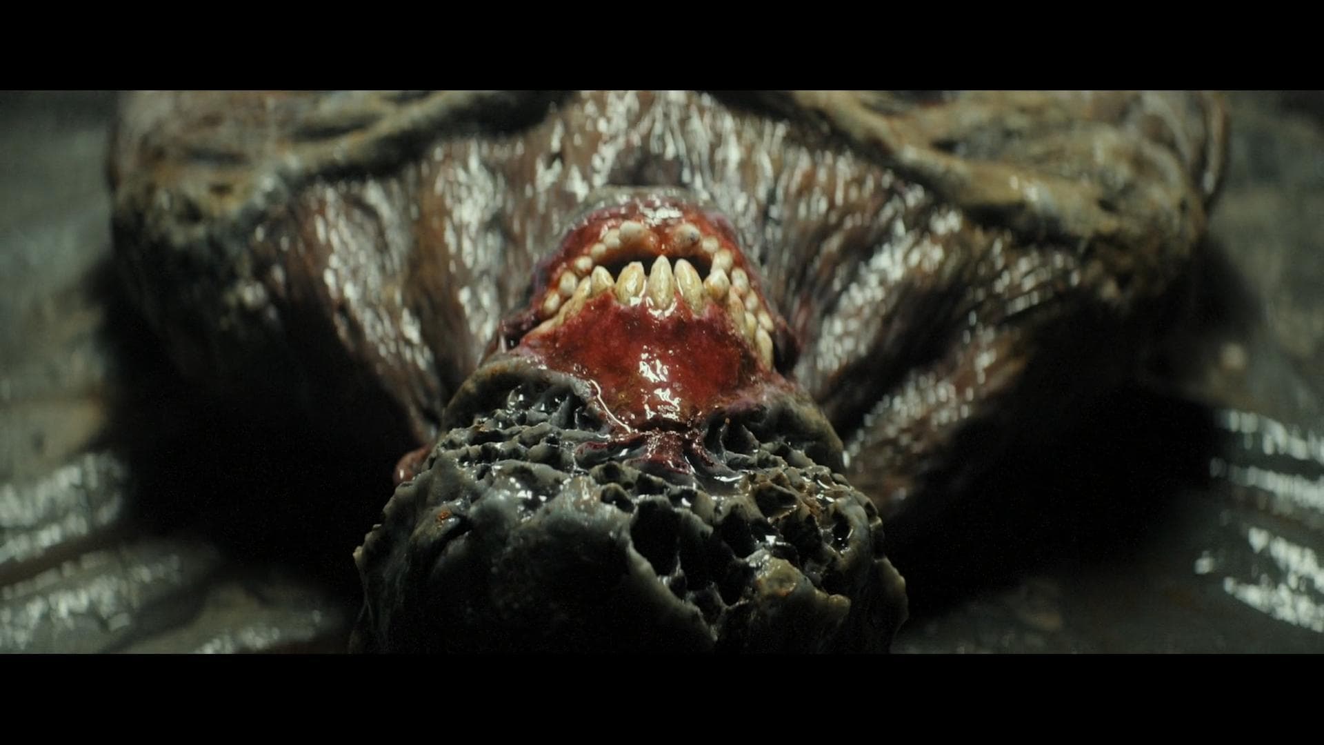 Very mediocre mindless action movie.