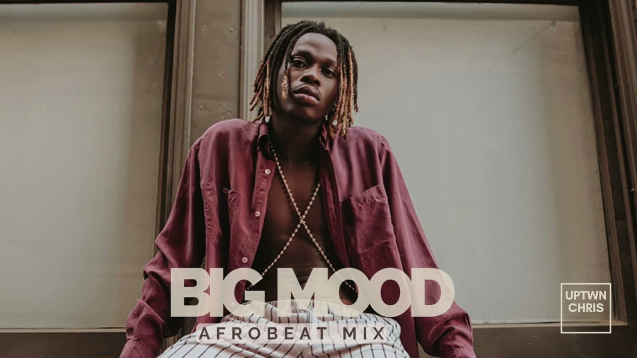 Afrobeat Big Mood Mix - Fireboy DML, Burna Boy, Wizkid, Rema, Davido, Omah Lay, Ruger, Sarkodie