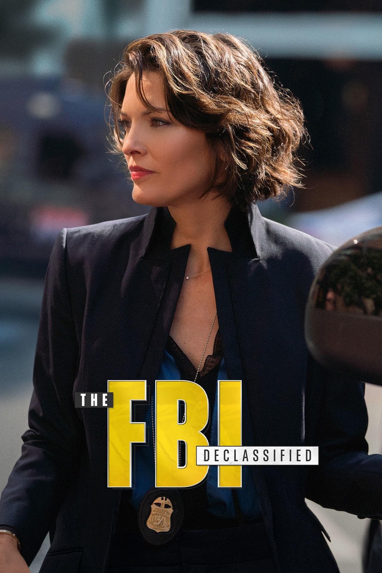 The FBI Declassified-S1E4_360P