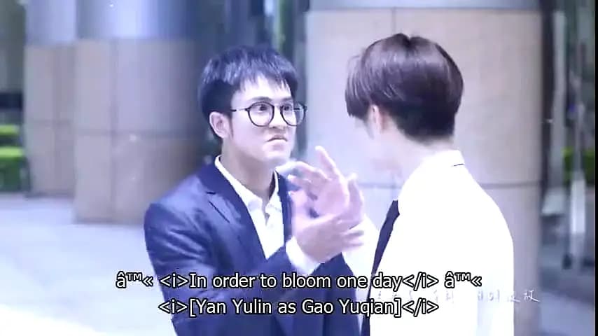 Trailer—Falling Into You