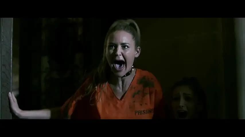 Trailer—Snake Hotel