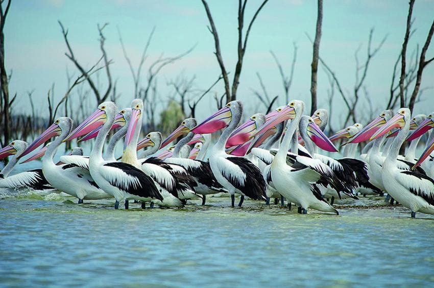 Global warming doom and gloom