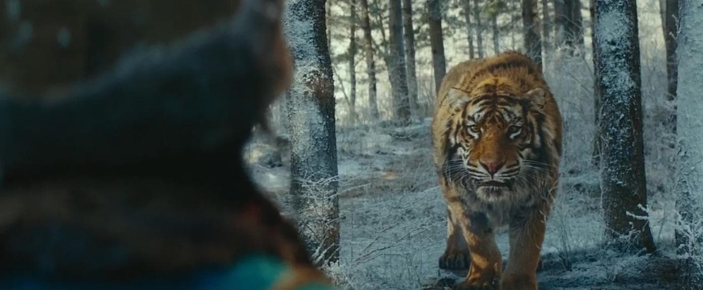 Difficult to understand