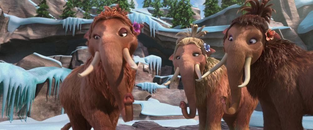 Another Wonderful Adventure