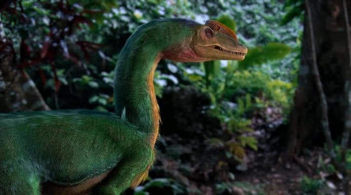 Enjoyable Family Film