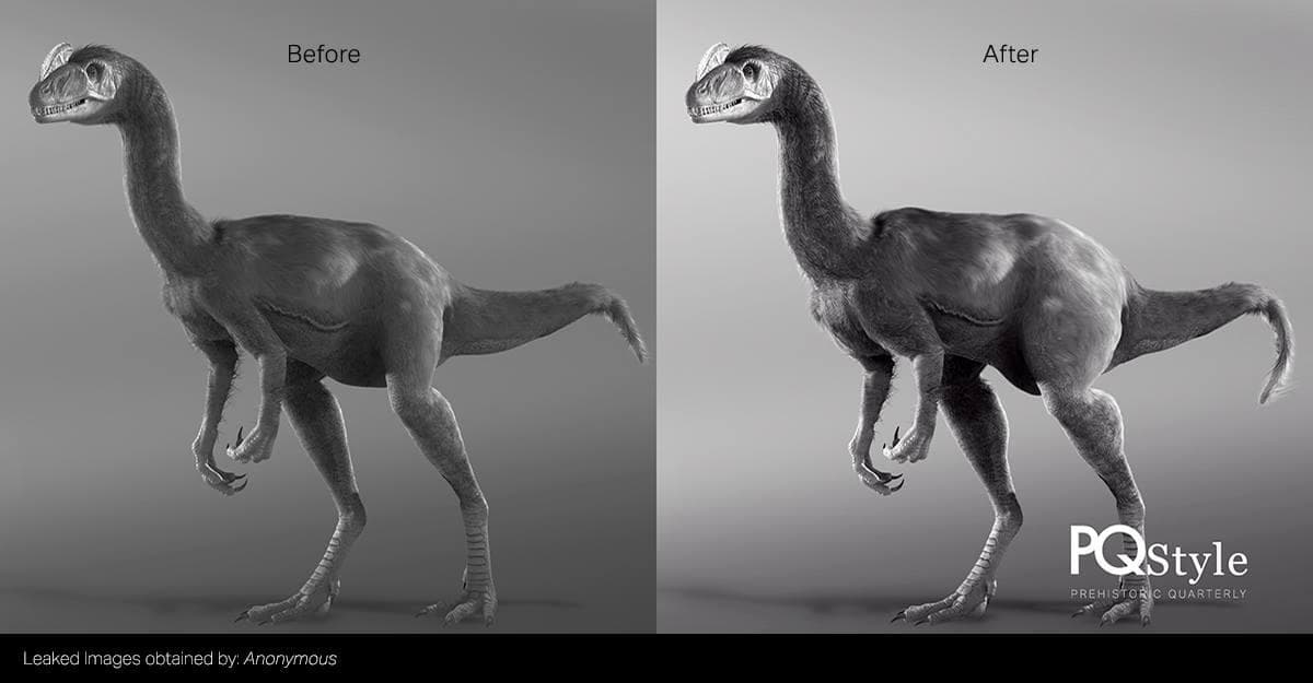 A missed opportunity