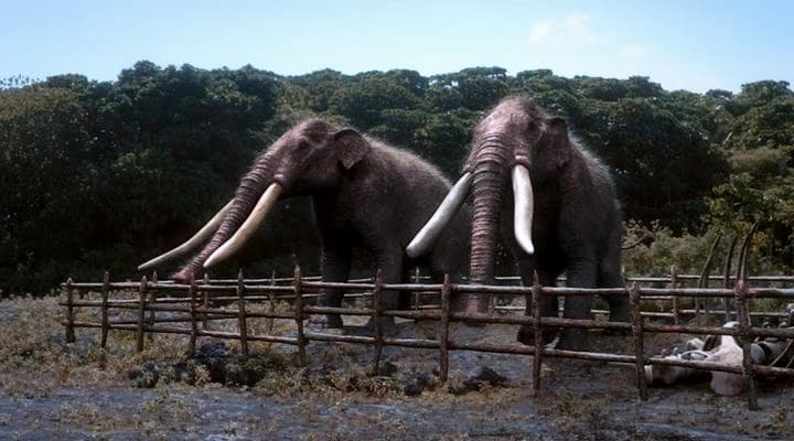 Awful on many levels