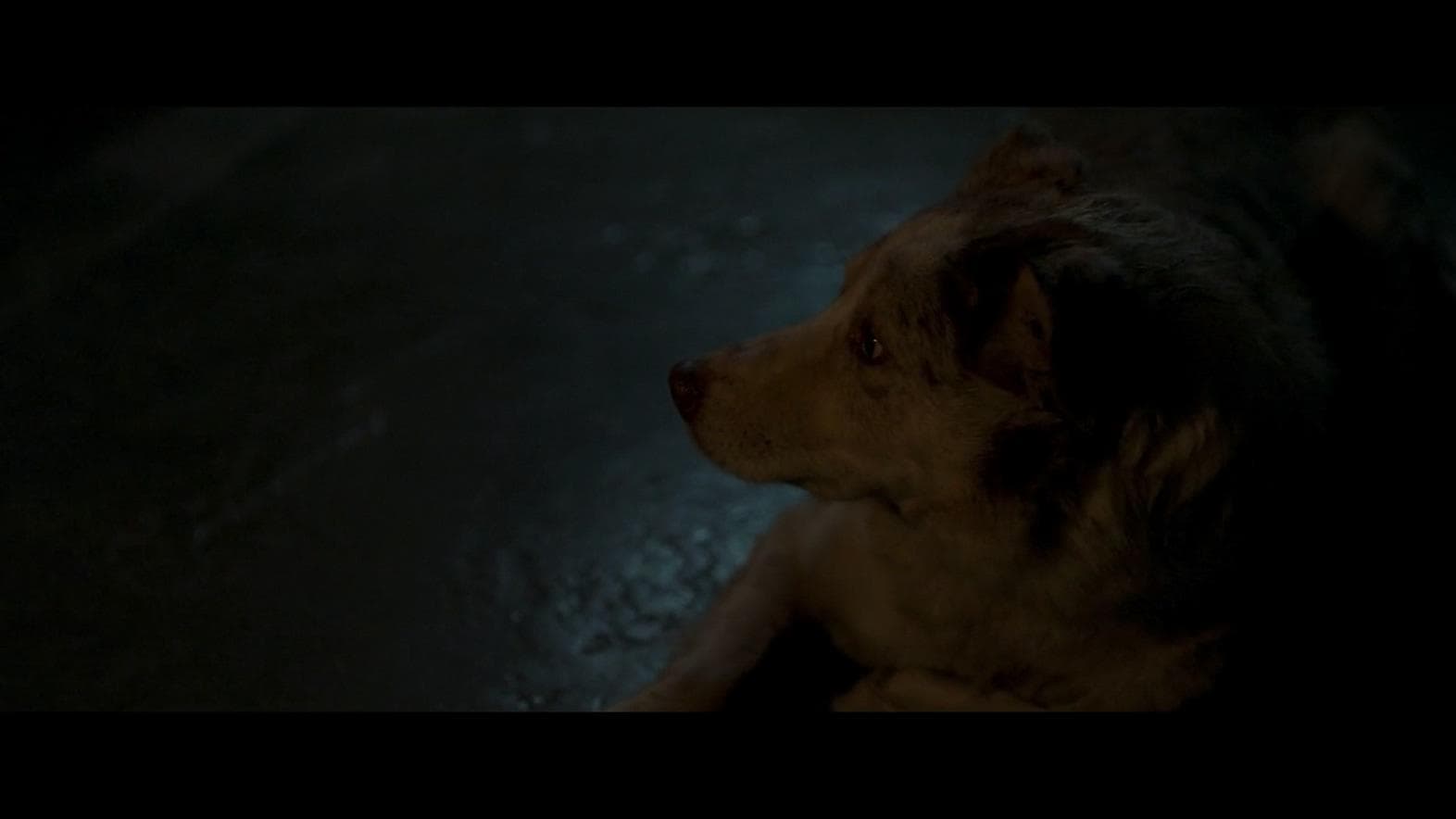 Great to see Gerard Butler showing his true potential