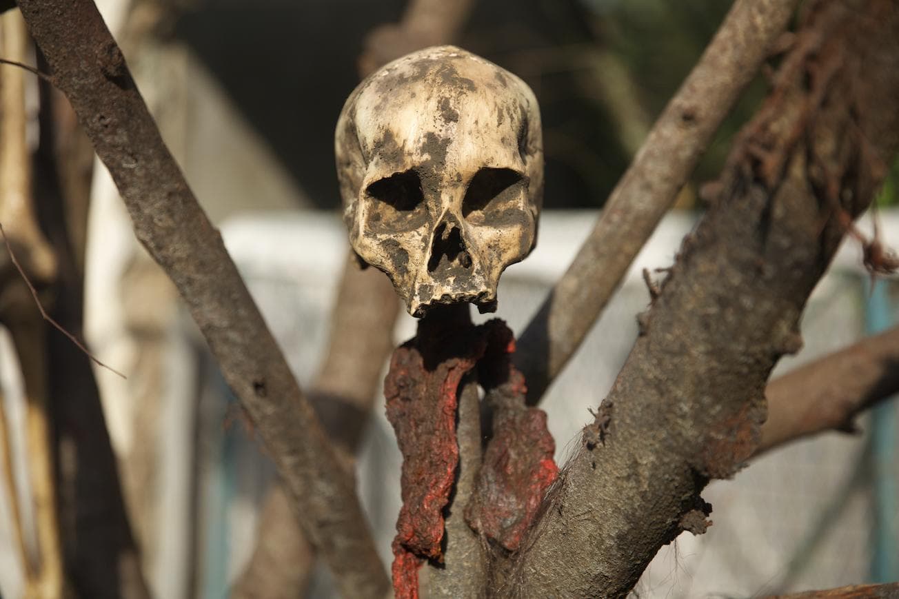 Hope for a second season - "Lost" on steroids