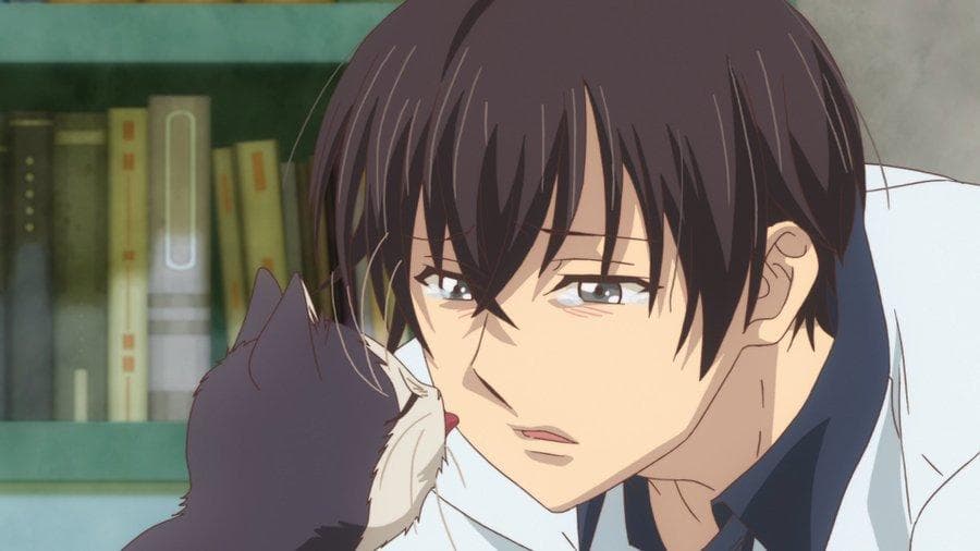 An interesting journey for a human-feline friendship