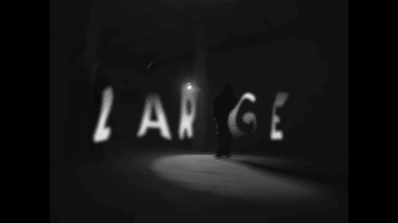 BLACK K _ LARGE FLY#1 (CLIP OFFICIEL)