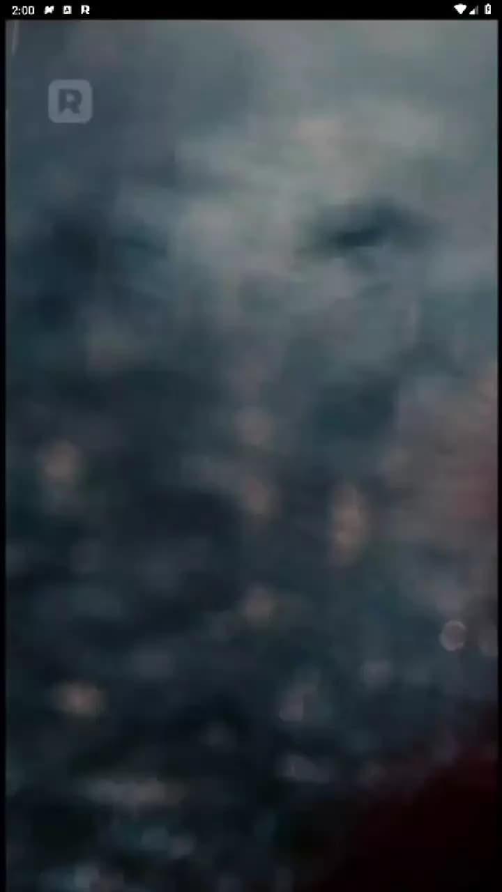 Trapped in the Boss's Embrace