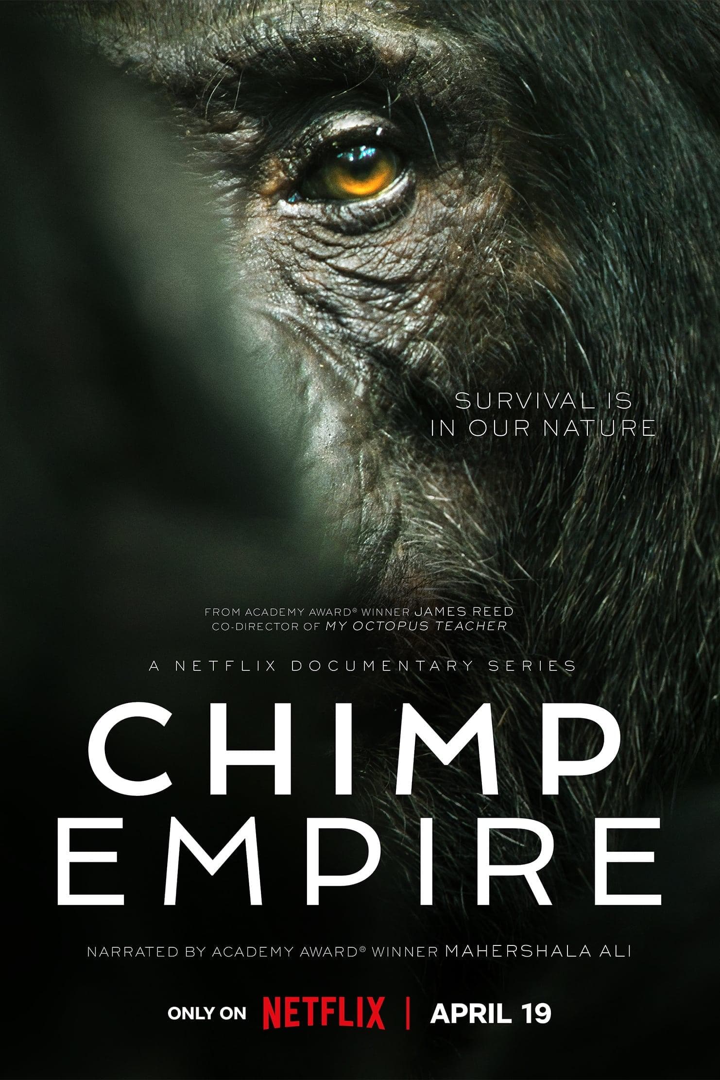 Chimp Empire-S1E1