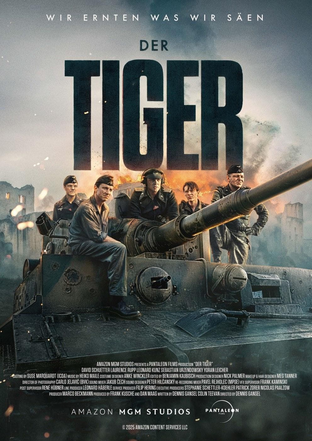 The Tiger_1080P_480P_retran