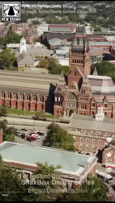 Hidden Detective Falls for Criminal