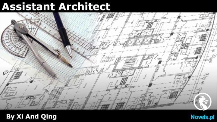 Assistant Architect