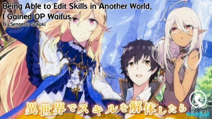 Being Able to Edit Skills in Another World, I Gained OP Waifus