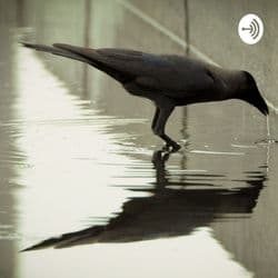 Stoicism for a Better Life