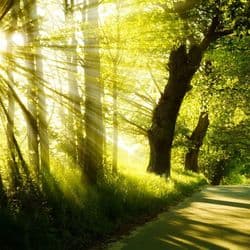 Nature calm music, sounds. Relaxation, background music