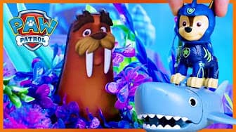 PAW Patrol | Toy Play for Kids
