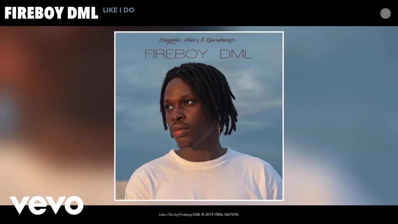 Fireboy DML - Like I Do (Audio)
