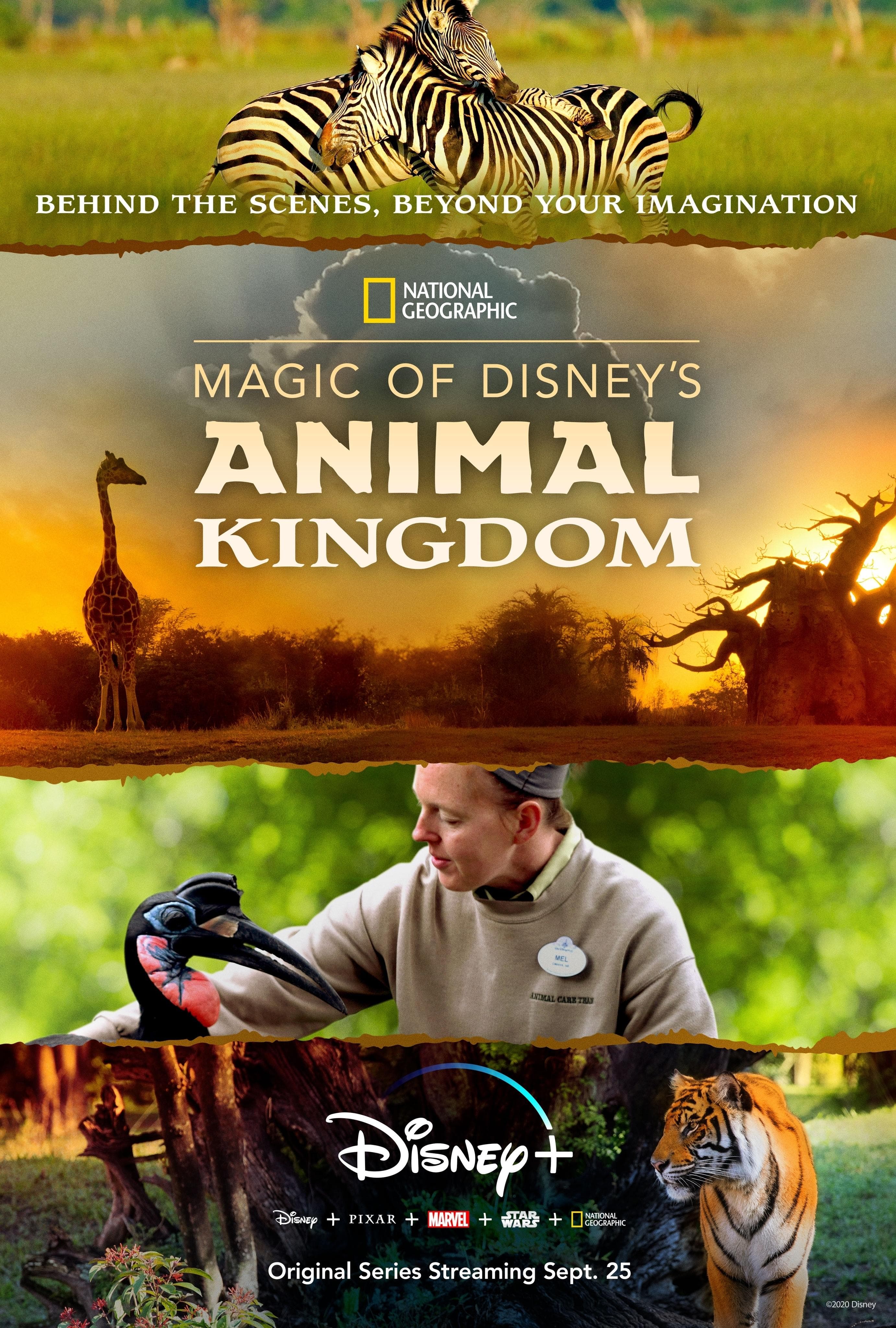 Magic of Disney's Animal Kingdom-S1E2