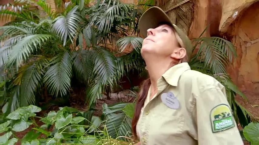 Trailer—Magic of Disney's Animal Kingdom