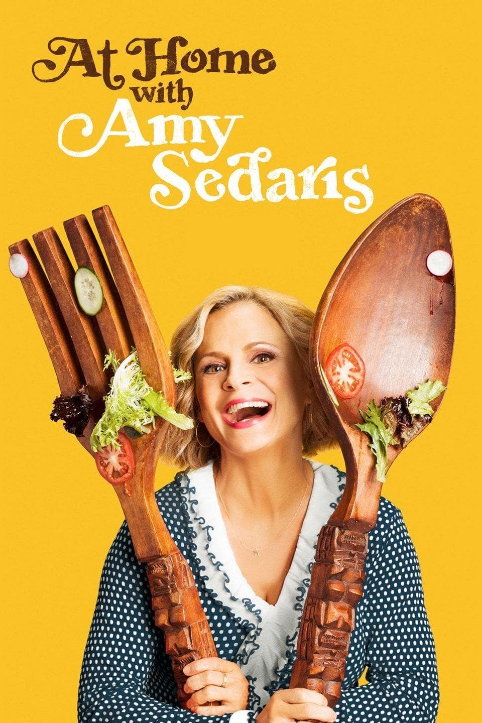 At Home with Amy Sedaris-S1E10-480P