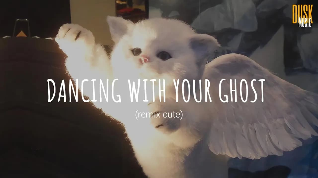 Dancing With Your Ghost (Remix) - DJ Komang Rimex // (Vietsub + Lyric) Tik Tok Song