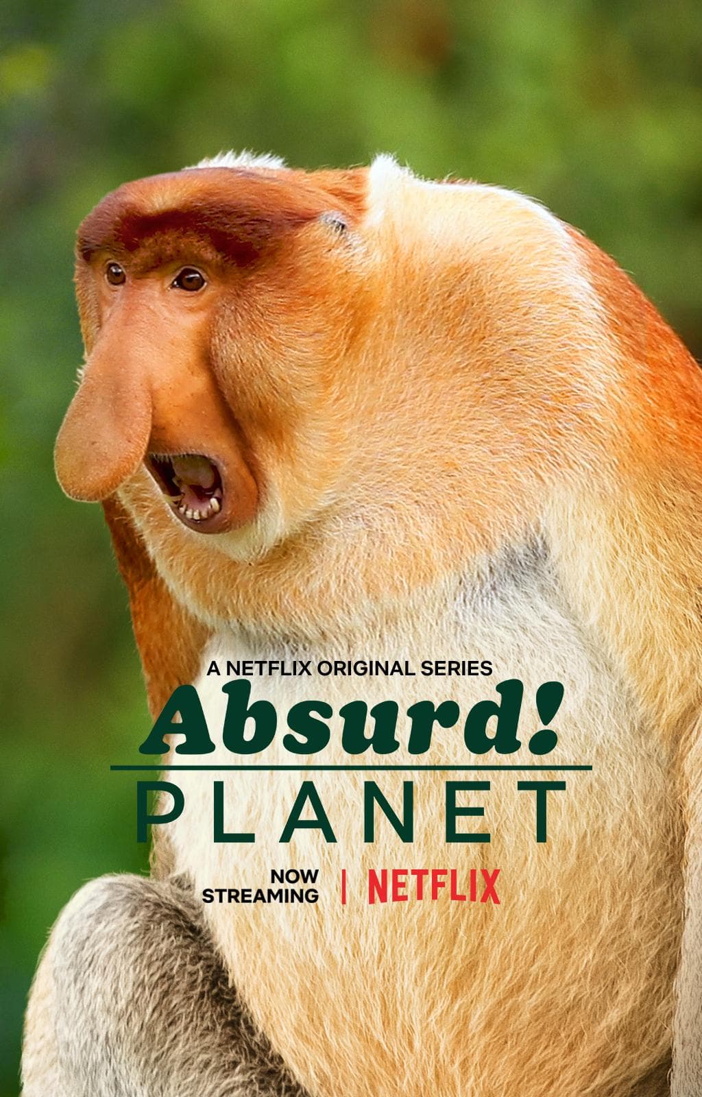 Absurd Planet-S1E7-360P