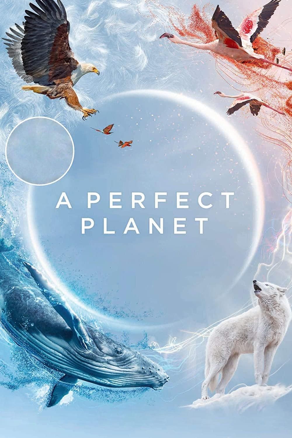 A Perfect Planet-S1E1